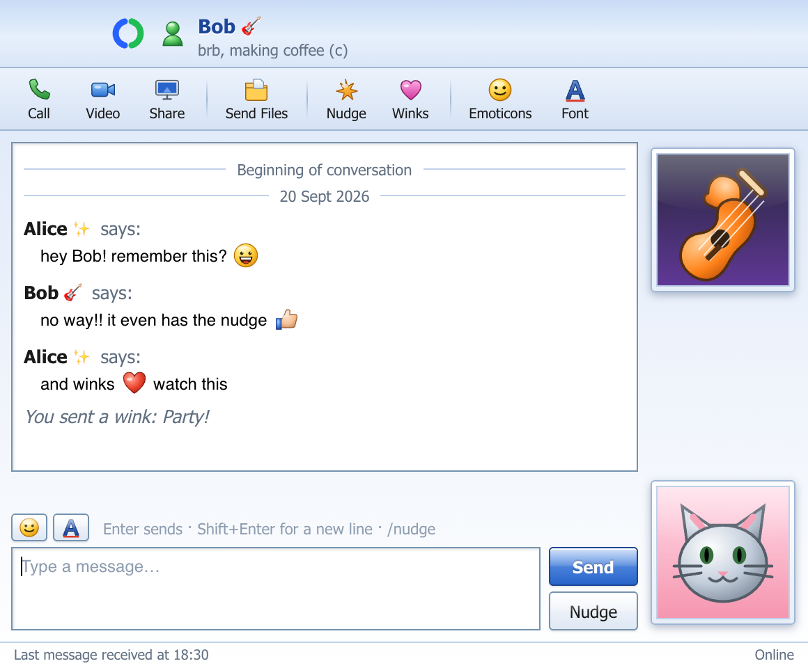 Chat window